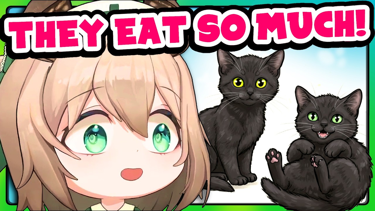 Nimi's kittens have the zoomies and a lot of energy