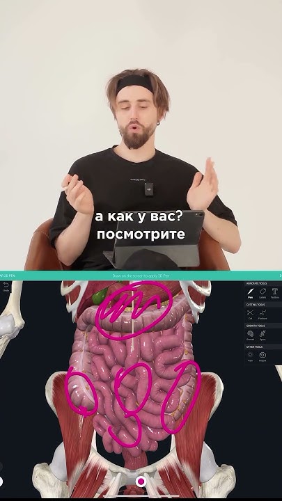С какой стороны торчит живот у вас? - YouTube