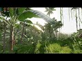 Godot 4 Graphics Demo - Incredible Graphics