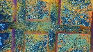 REPOST!! Soft and colorful reforms💜💚💛💙🧡 screenshot 1