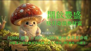 Hongos 陪您聽音樂 -【528Hz 顯化】加入 23Hz & 95Hz 深層排毒頻率(30分鐘以上版本):開啟豐盛的一天,清理內在阻礙,吸引奇蹟與財富 Cure and Fortune