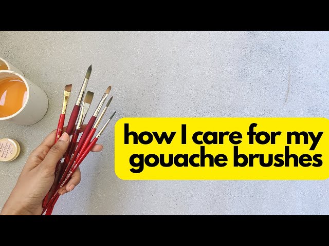 Not sure how to clean and care for your gouache brushes? 🖌 Watch this. 🎨  