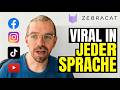 Videos automatisch übersetzen mit KI (Zebracat Tutorial)