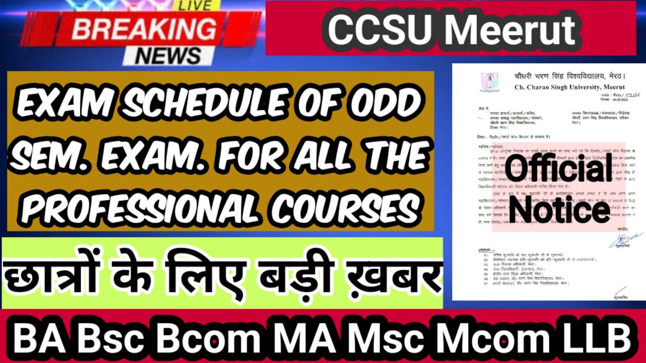 CCSU BBA BCA BA LLB Msc Bsc Datesheet Declare Datesheet Of ODD Sem ccsu-bba-bca-ba-llb-msc-bsc-datesheet-declare-datesheet-of-odd-sem