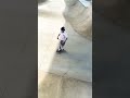 Oops #scooter #scootering #shorts