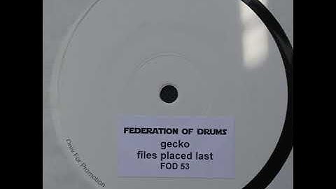 Gecko - Files Placed Last