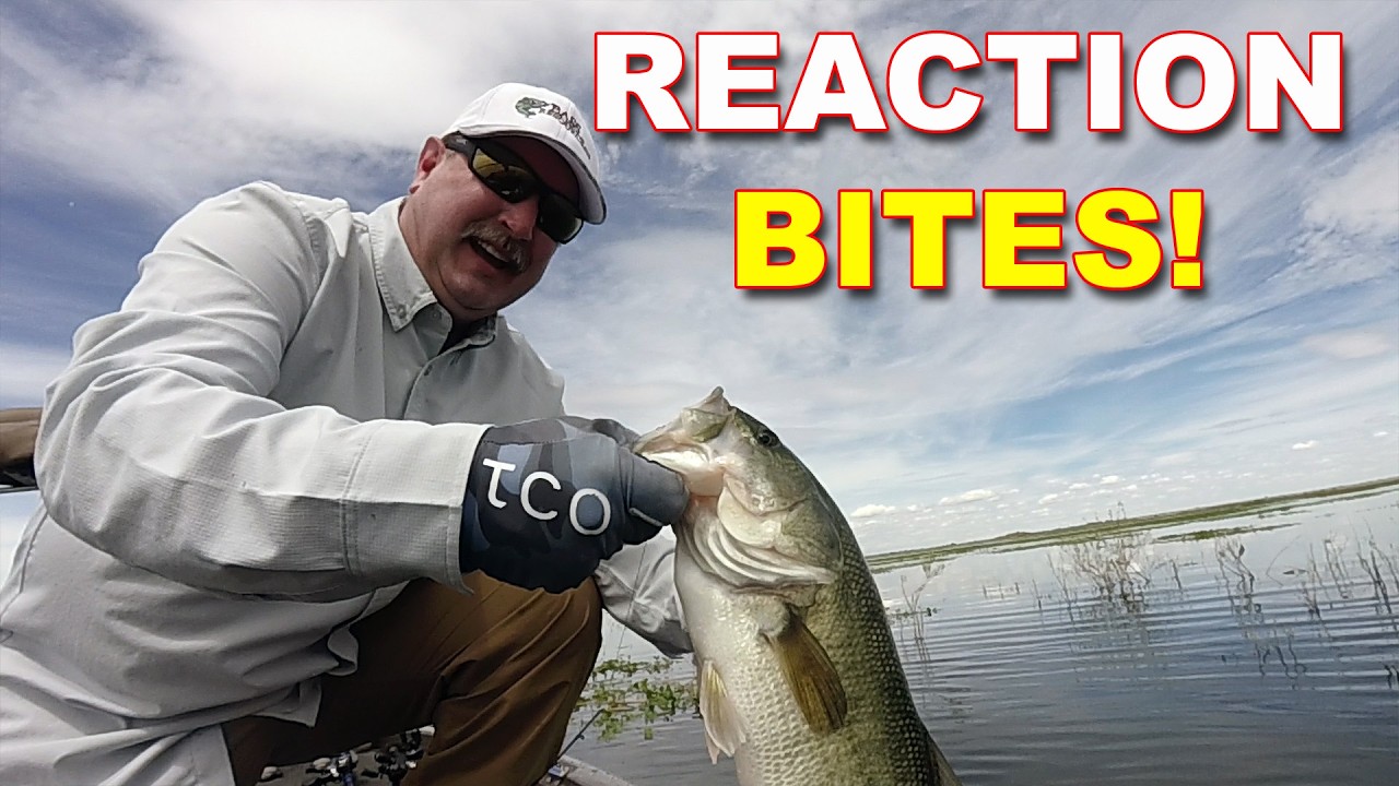 This Jig Trick Gets Reaction Bites Post-Spawn | Bass Fishing