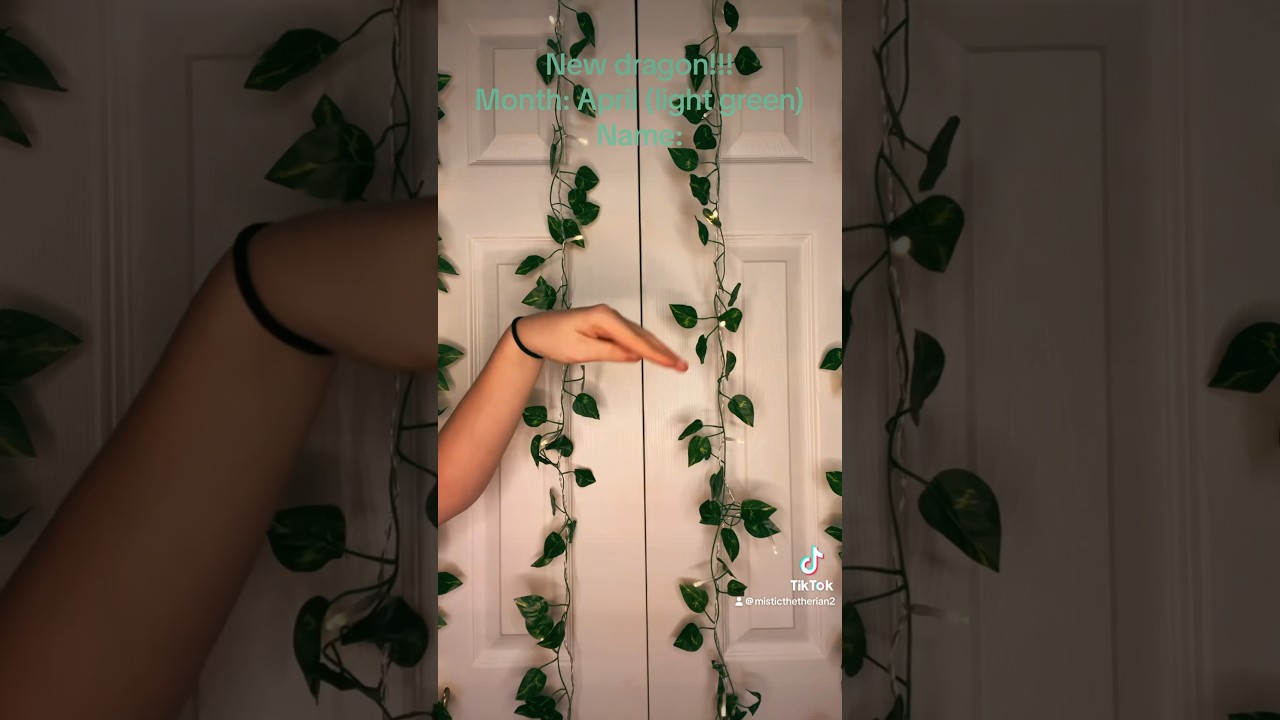 New dragon!!! Monthly edition!! Here comes 🌿Minthy🌿