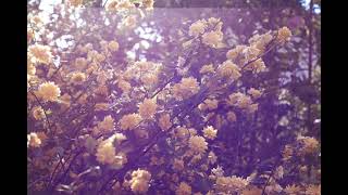 DREAM VOYAGER with Sansula by Ratna Dewi