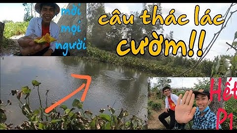 Câu cá thác lác/mòi câu thác lác cườm hiệu quả phần 1