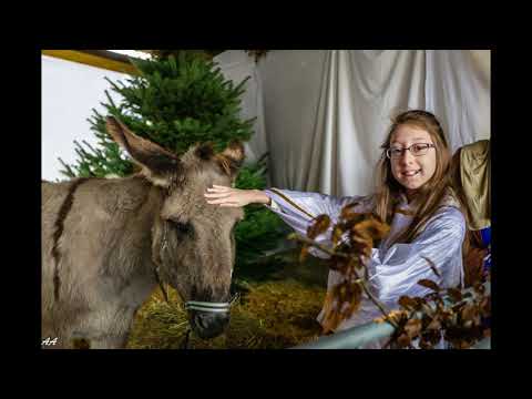 Une crèche vivante à Noisy le Roi