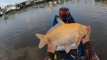 32f đi một vợt // Phong68