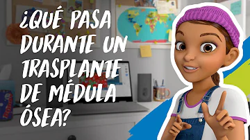 ¿Qué ocurre si el trasplante de médula ósea no funciona?