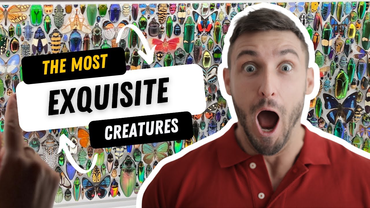 Science Museum of Minnesota Features Artist Christopher Marley’s