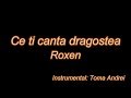 Roxen - Ce-ti Canta Dragostea (karaoke) | Toma Andrei