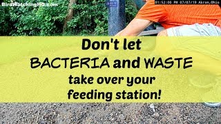 How I Clean The Mess UNDER My Bird Feeders!