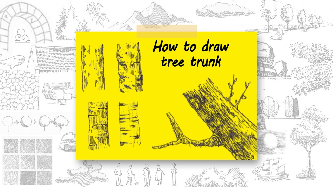 Tree Trunk Tutorial Tree Trunk Sketch Tutorial - YouTube