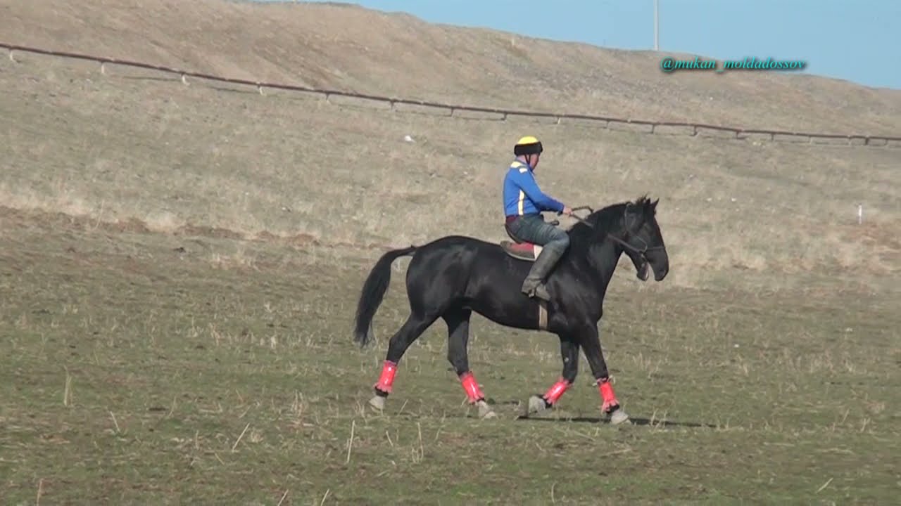 Казыгурт ауданы.Кынашбек кажы атамыздын 70 жас мерей тойына арналган дубирли кокпар 16 12 2021