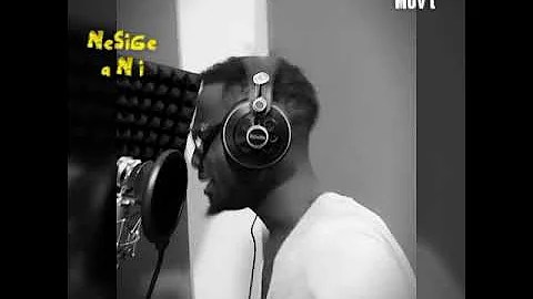 Nesige ani by Robert Rota M