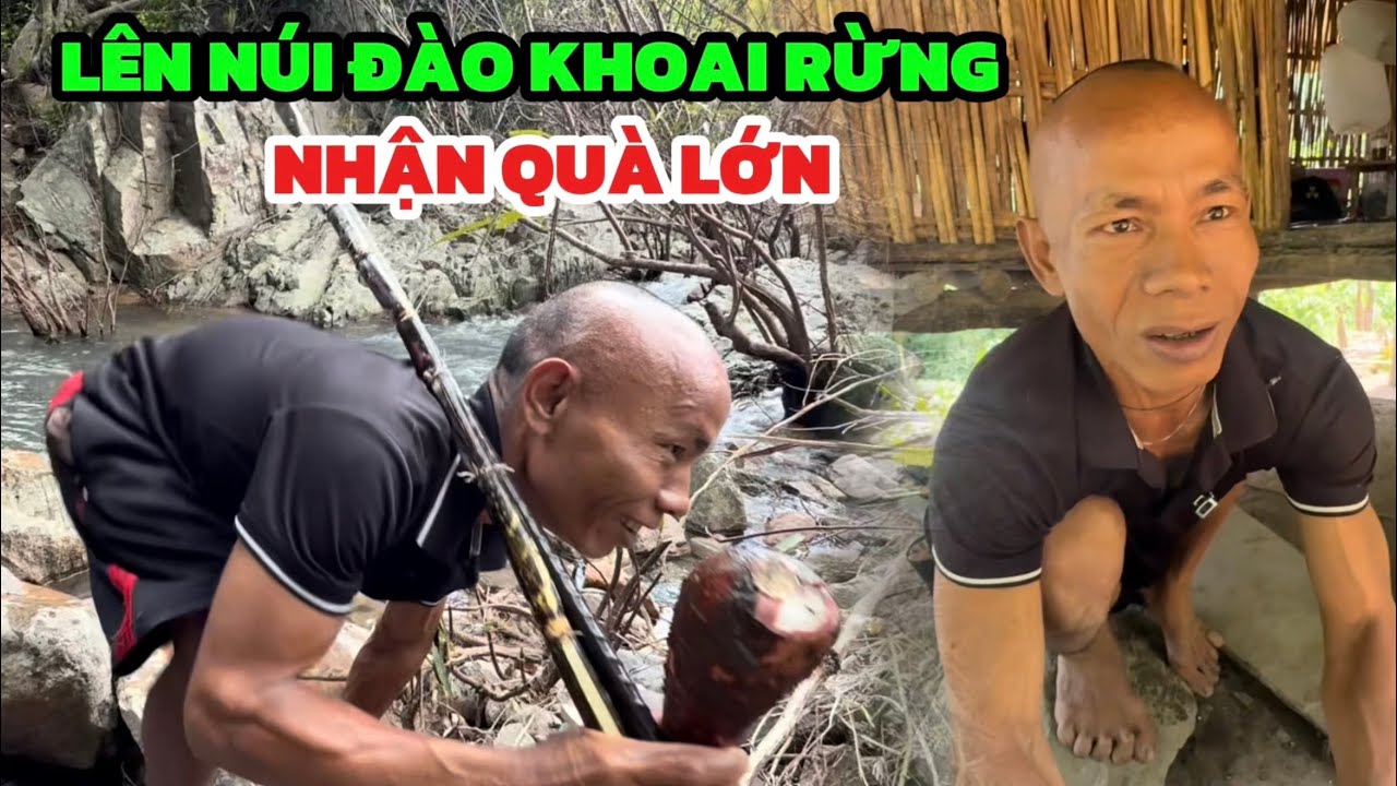 Sau Những Ngày Lũ Càng Quét Anh Dẹo Núi Đào Khoai Rừng Thì Bất Ngờ Anh Nhận Quà