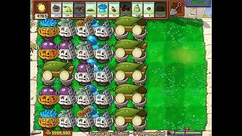 Fast 6 Cob Build Demonstration | Day Endless