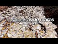 4K Drone Video of Maras Salt Mines, Pink Salt in Cusco, Perú 🇵🇪 | Drone Xplor