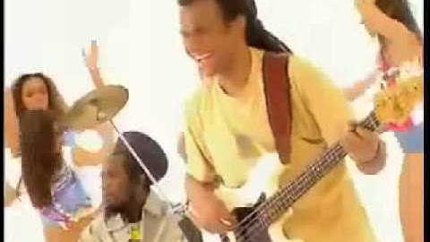 J ai un petit problème dans ma plantation -officiel-mp4-200