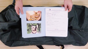 How to Make an Emergency Kit for Your Pet | Allstate Insurance