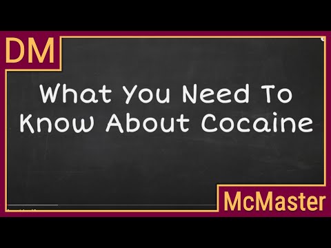 Hvad du behøver at vide om kokain