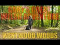 Wentwood Woods | Woodland Photography | Gary's Great Welsh Adventure