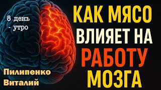 видео: Как мясо влияет на мозг? Утреннее вдохновение 8-й день. Пилипенко Виталий картинка: Как мясо влияет на мозг? Утреннее вдохновение 8-й день. Пилипенко Виталий