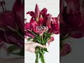 FLORES para BODAS | Estudia y #WEDDINGPLANNER con #ESNECA 📚 #elearning #masteronline