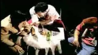 TAP 011 - KOMSINICA MICA