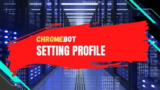 Chromebot | Setting Profiles | Web Browser Automation Bot Software screenshot 2