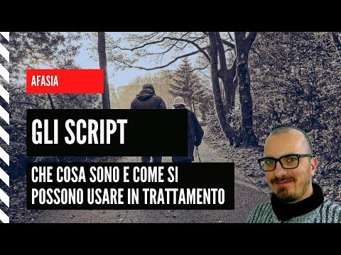 Video: Cosa Sono Gli Script?