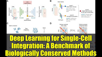 Deep Learning for Single-Cell Integration: A Benchmark of Biologically Conserved Methods
