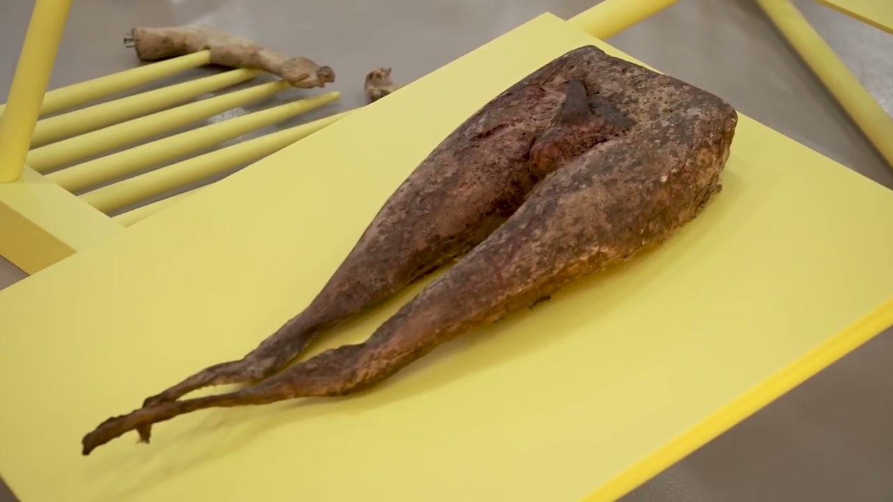 Roberto Cuoghi at the Fridericianum, Kassel