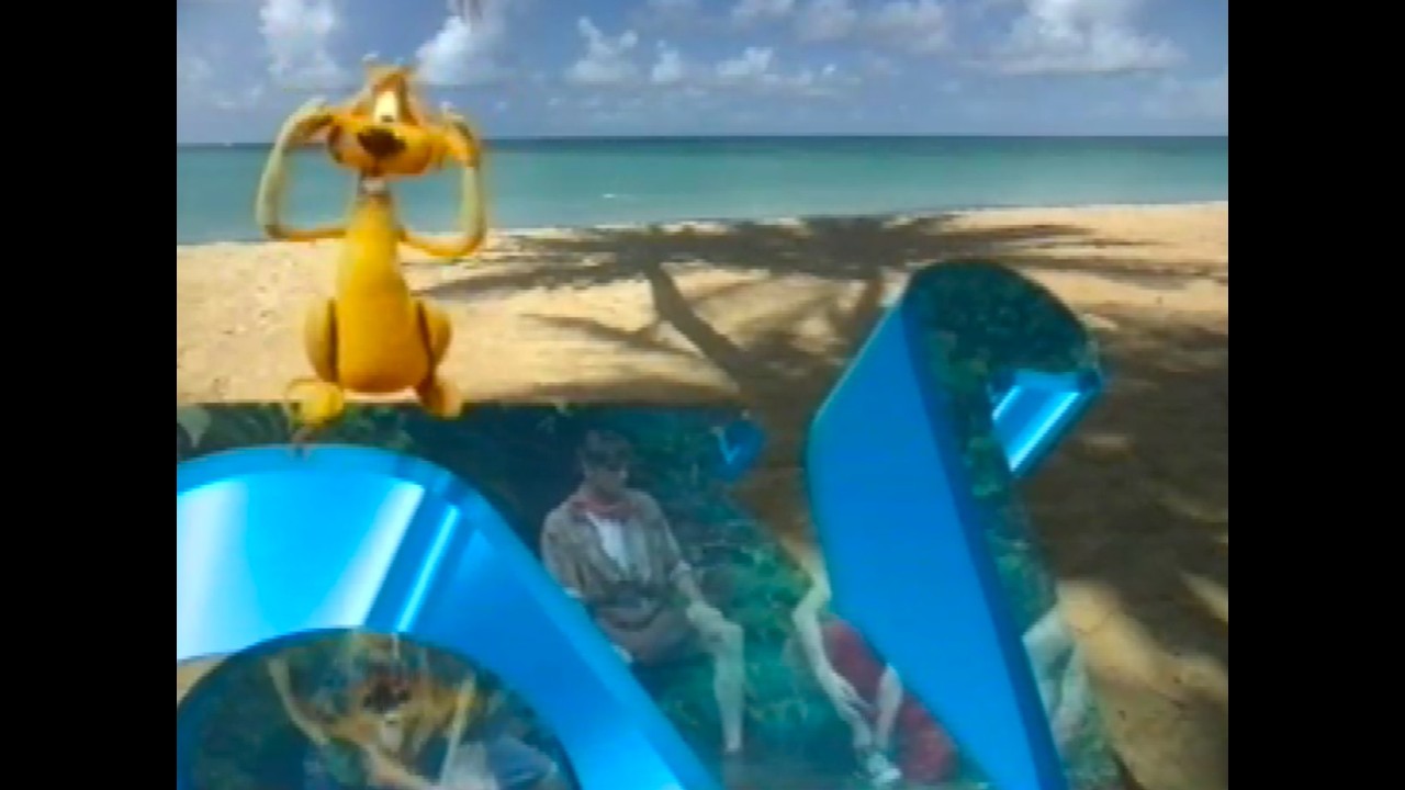 Nederland 2 - STER-reclameblok (12-12-1991)