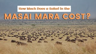 How Much Does a Safari in the Masai Mara Cost?