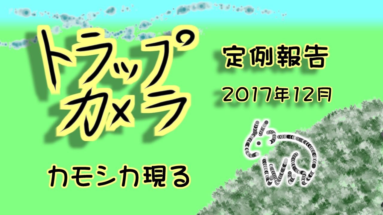 監視カメラ大手 定例トラップカメラ報告 2017年12月 カモシカ現る