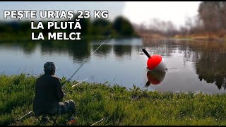 Pește URIAȘ de 23 KG LA PLUTA LA MELCI - Pescuit La Pluta cu nea Mircea