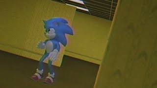 Sonic in Backrooms? (Found Footage)