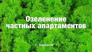 Стена из стабилизированного мха. Дизайн интерьера в Украине