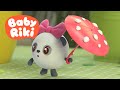 BabyRiki RO - Pandy învață despre ciuperci 🍄 Desene animate educative pentru copii