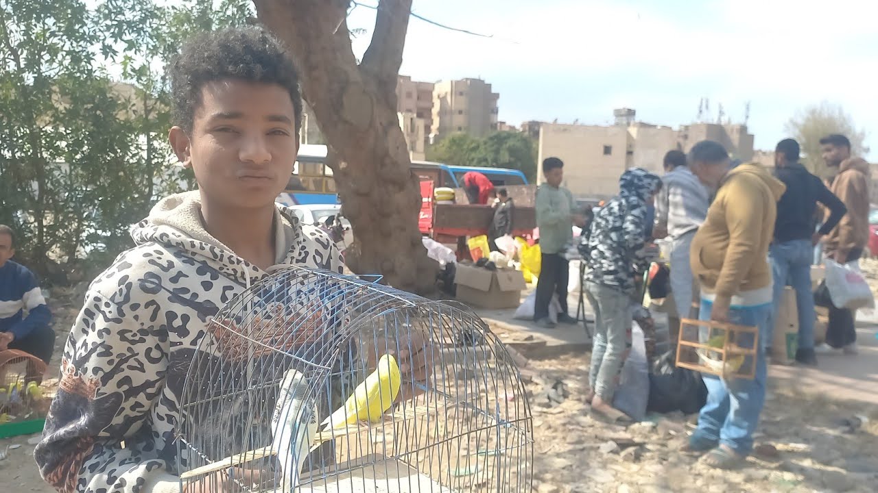 اخر فيديو من سوق الجمعة👌الناس اشترت عصافير ايه وبكام⁉️وأسعار العصافير بأرقام اصحابها من داخل السوق💚