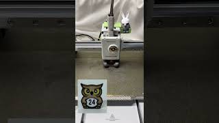 3D Printing an Owl Classroom Tracker Token | Timelapse Build