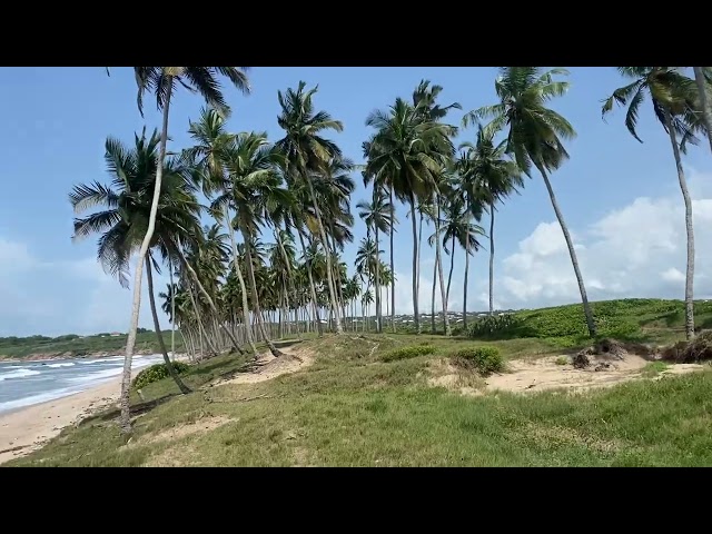 Beach View Land for Sale at Gomoa Fetteh