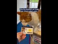 When the Mansfield cats forget their Oxford student cards…🐈 #OxfordUniversity