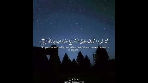 القارئ : مشاري البغلي  🌿