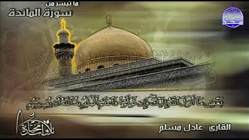 ما تيسر من سورة المائدة | تــلاوة ابداعية | القارئ الشيخ : عادل مسلم | من مختارات المجد HD